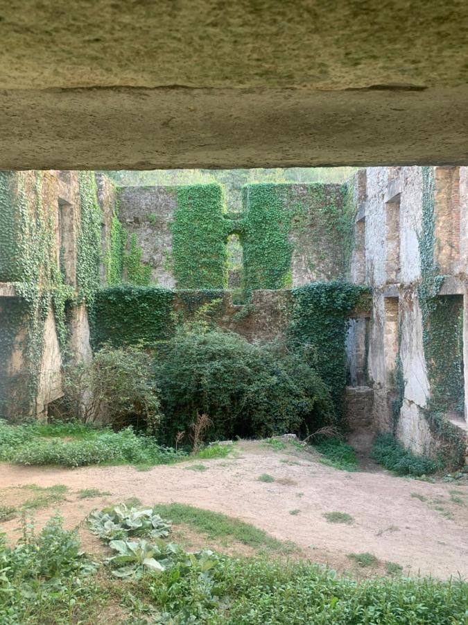 La Cabane De Piquet Le Tablier Luaran gambar
